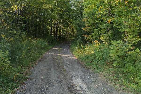 Johnson Mine Road