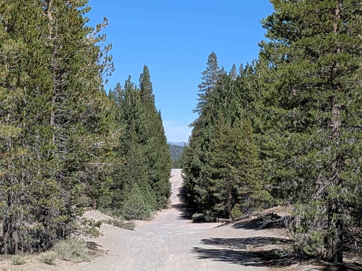 Deadman Creek Road FS32E03-SNO photo 3