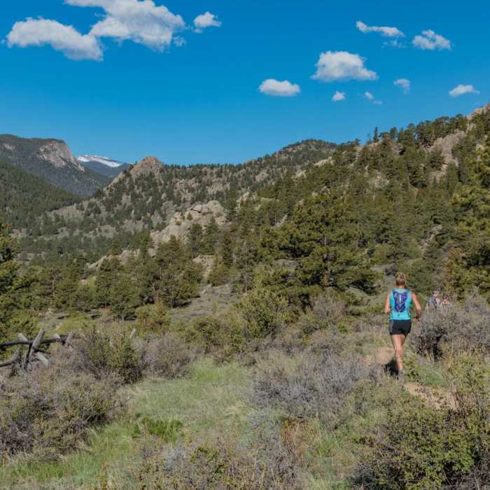 Near Lumpy Ridge Loop