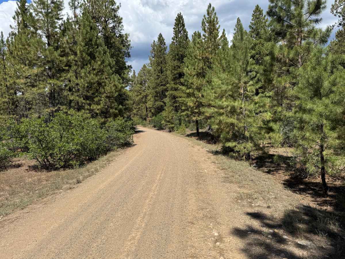 Grouse Point Road photo 4