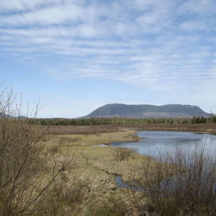 Near Big Spencer Mountain