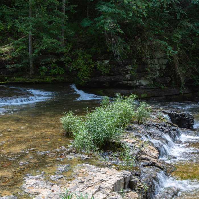 Near Cummins Falls State Park Hike