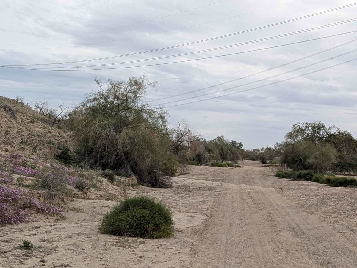 EC1219 photo 3