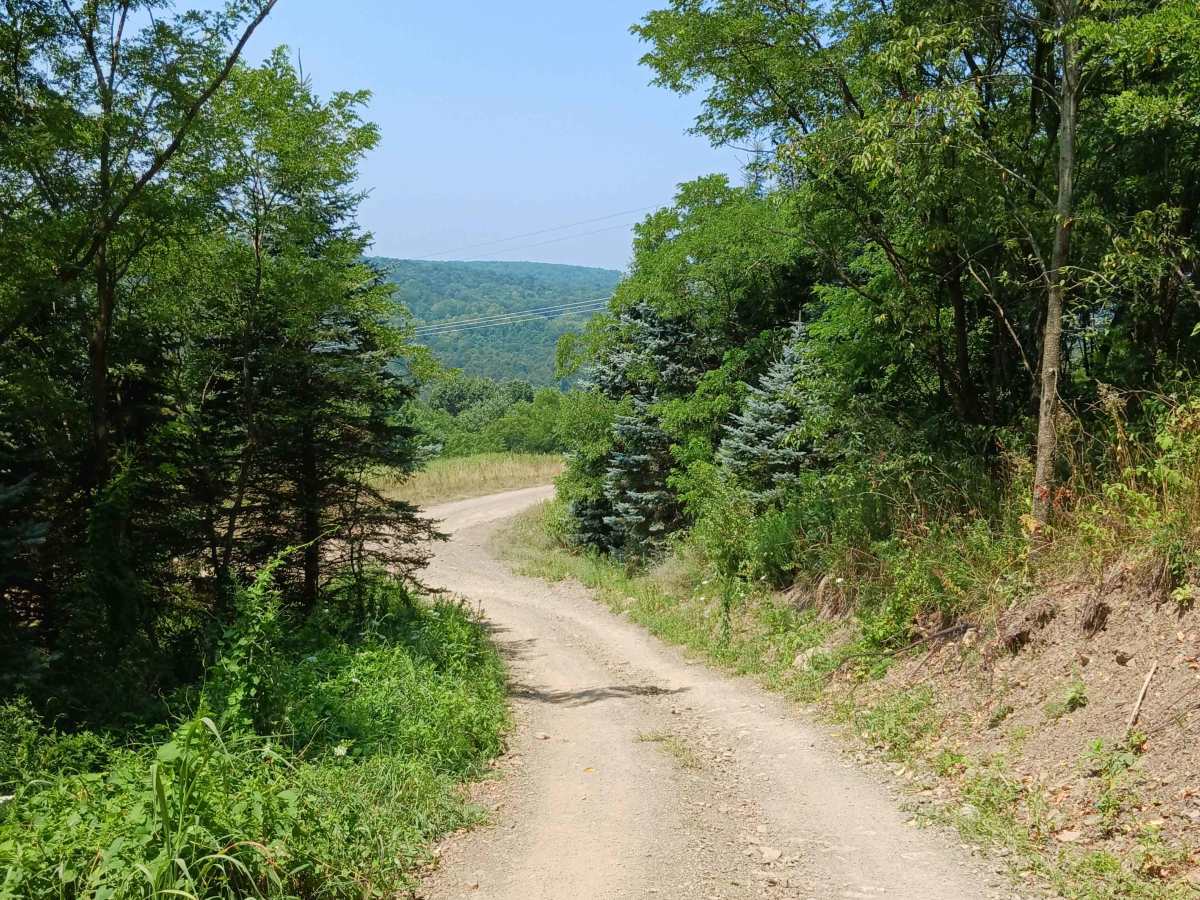 Gobbler Ridge - Rock Run Recreation Area photo 2