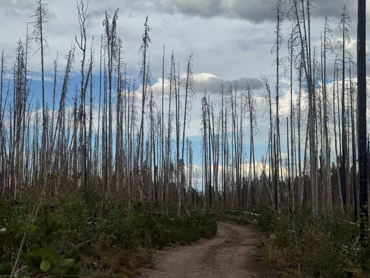 North Shell Road trail photo