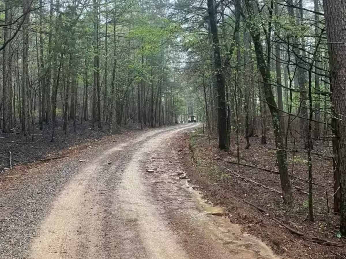 Little Bigger Road photo 3