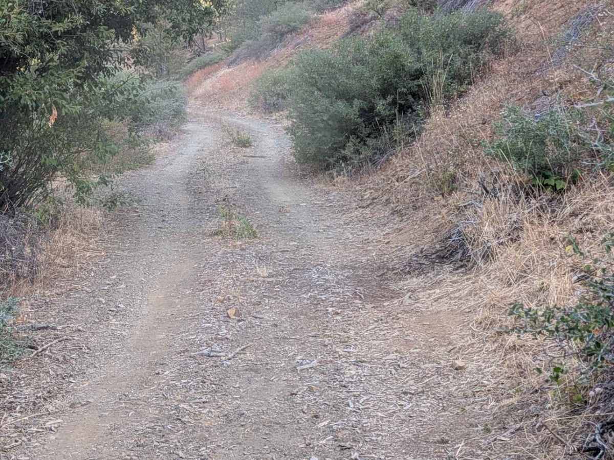 Rail Gulch Road - FS 2N11 photo 4