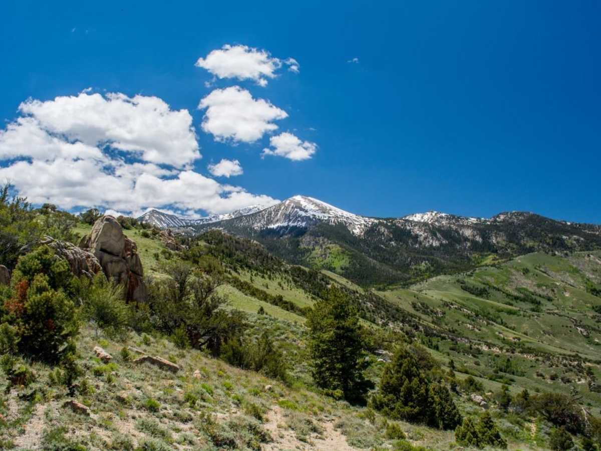 Toms Canyon trail photo