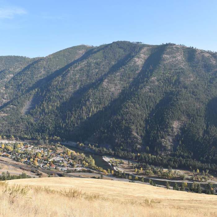 Near The L Trail + Mount Jumbo Summit Loop