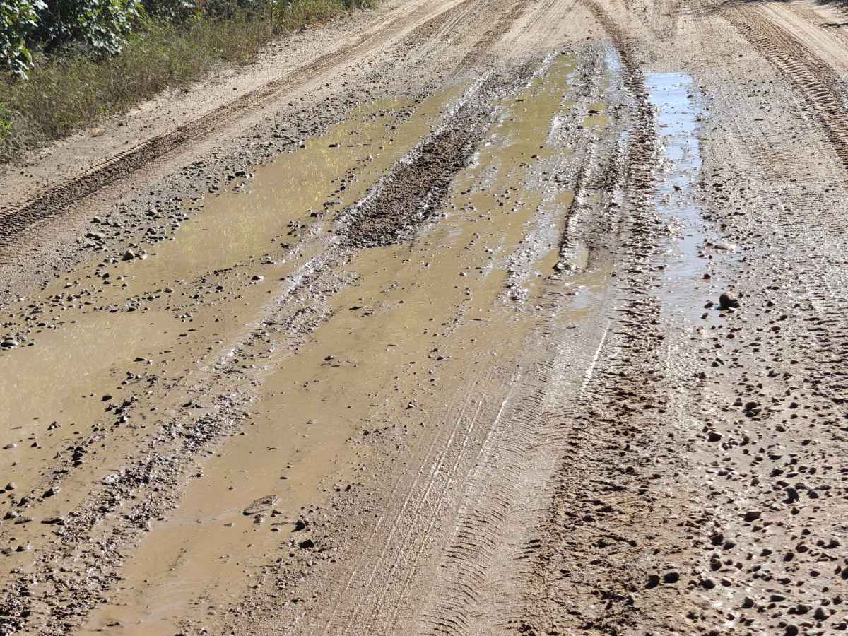 Grass Lake Road photo 4