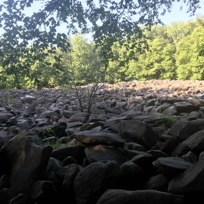 Boulder field Near Ringing Rocks Loop