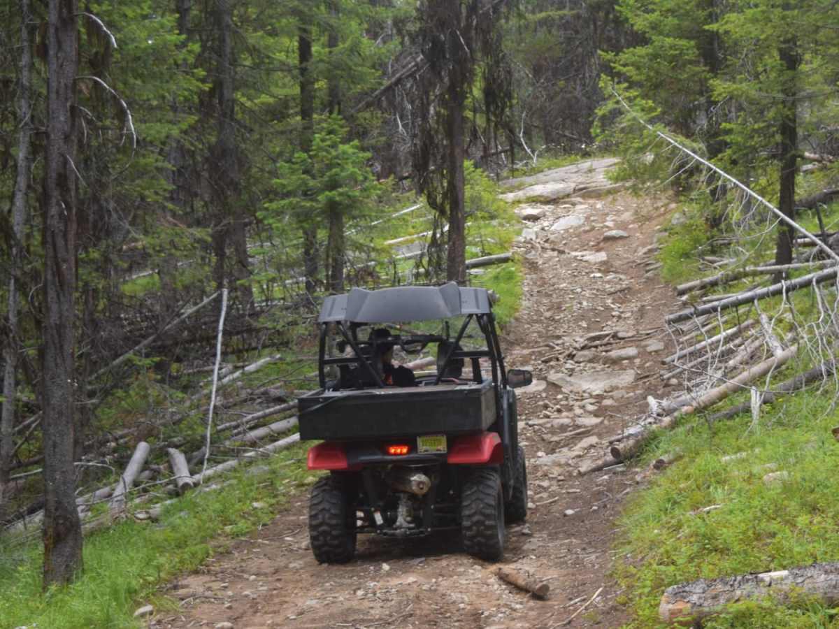 Twin Sisters Trail trail photo