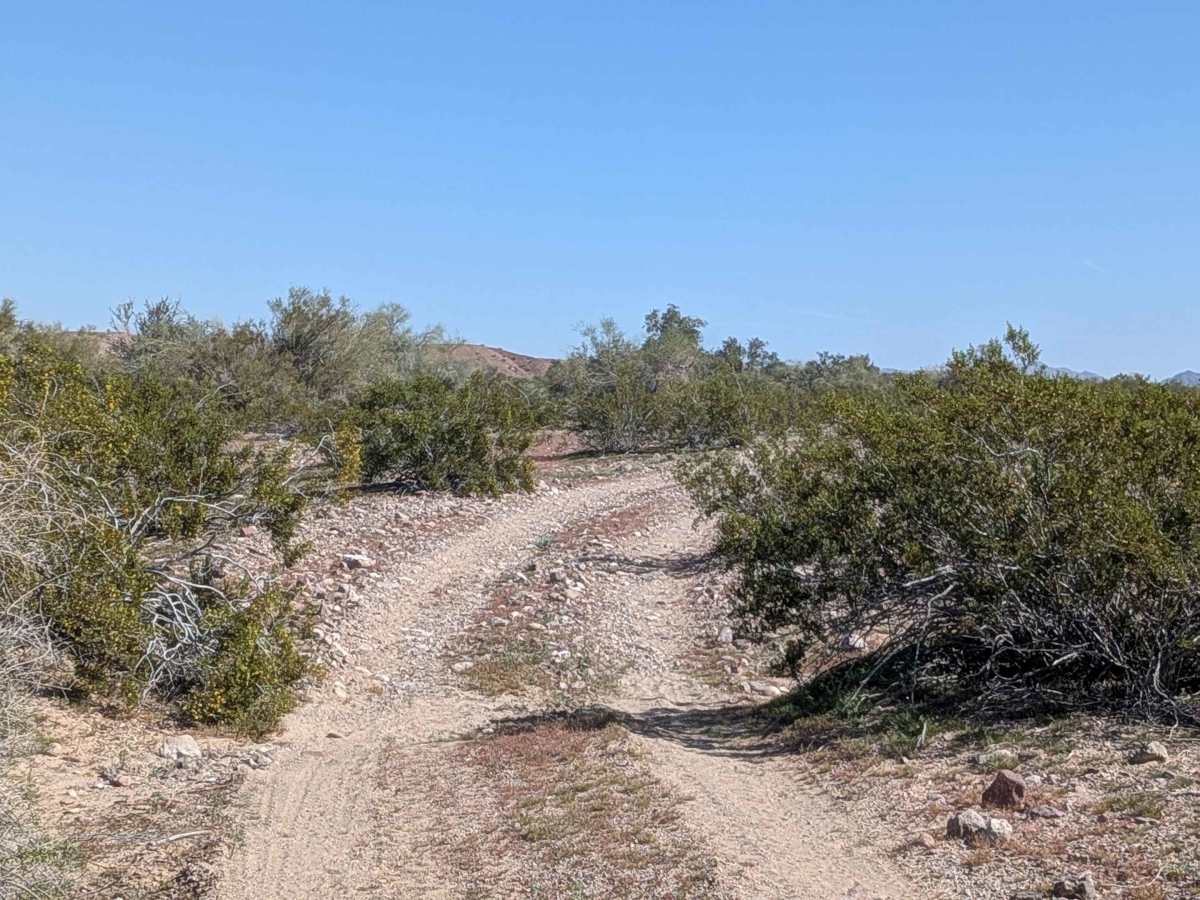 EC1177 trail photo