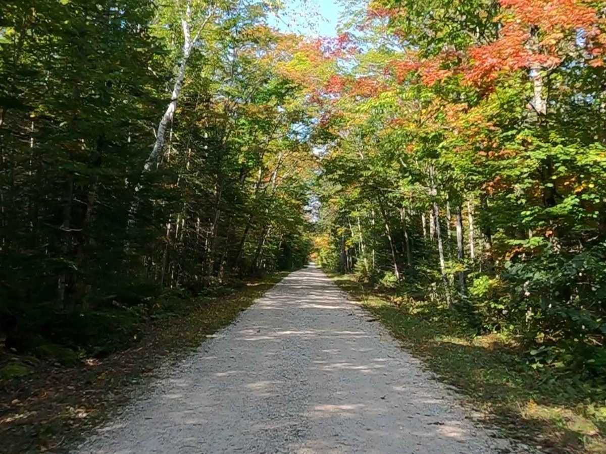 South Gamble Road - FS 3116 photo 5