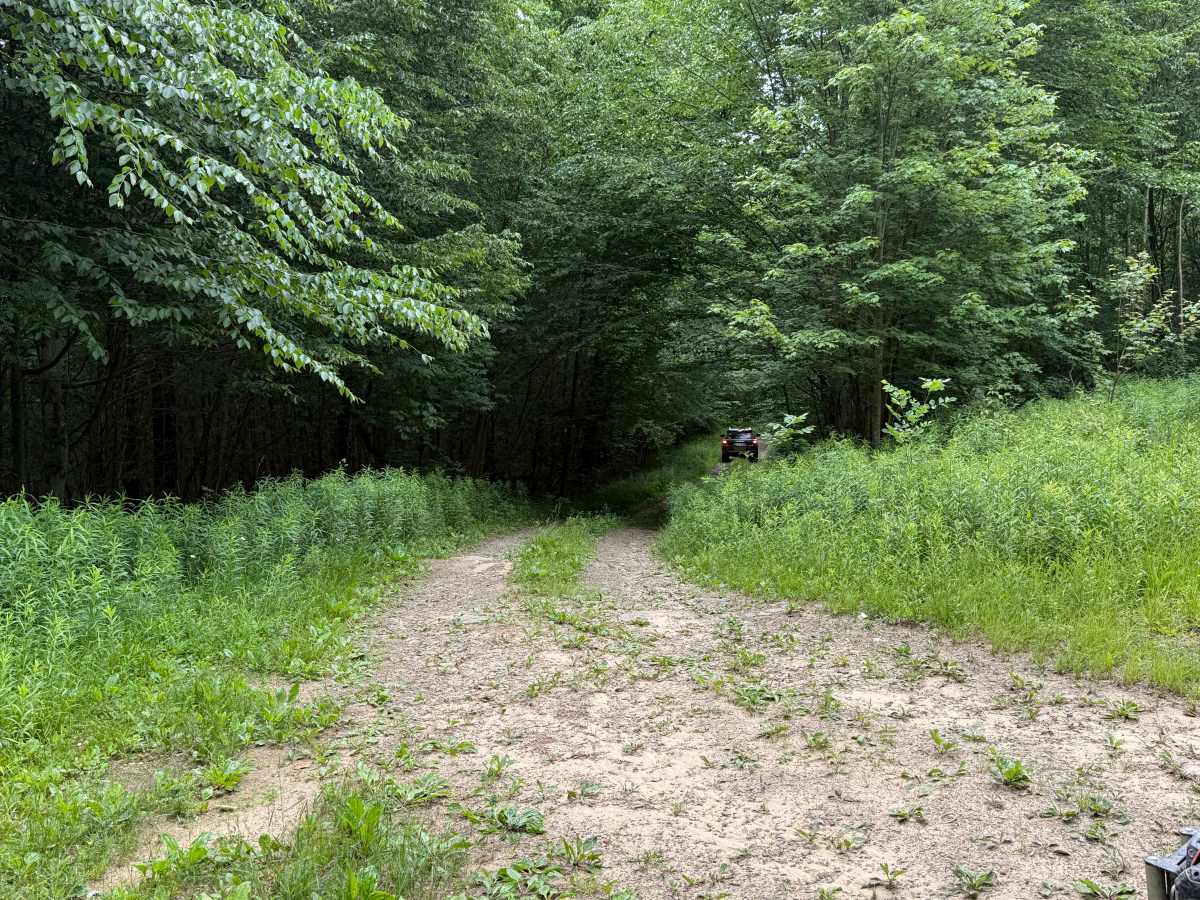 Chubbs Trail trail photo