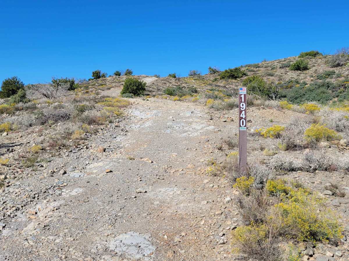 Trail 1940 photo 6
