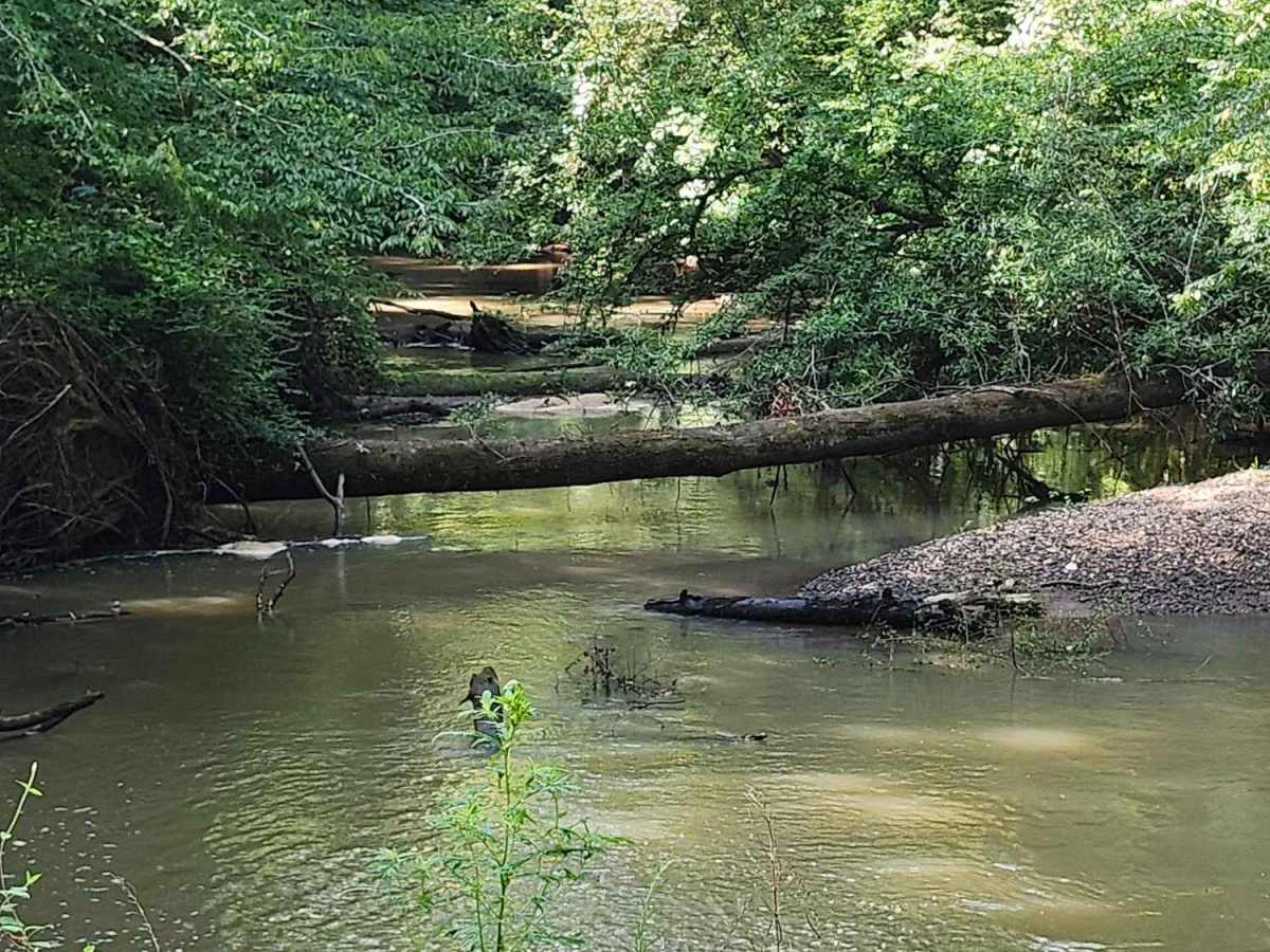 Indian Creek Trail trail photo