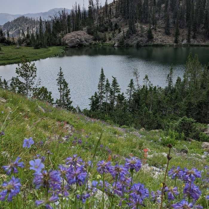 Near Norton-Big Lost Lakes Loop