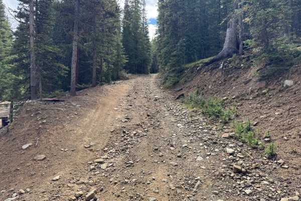 Sawmill Road