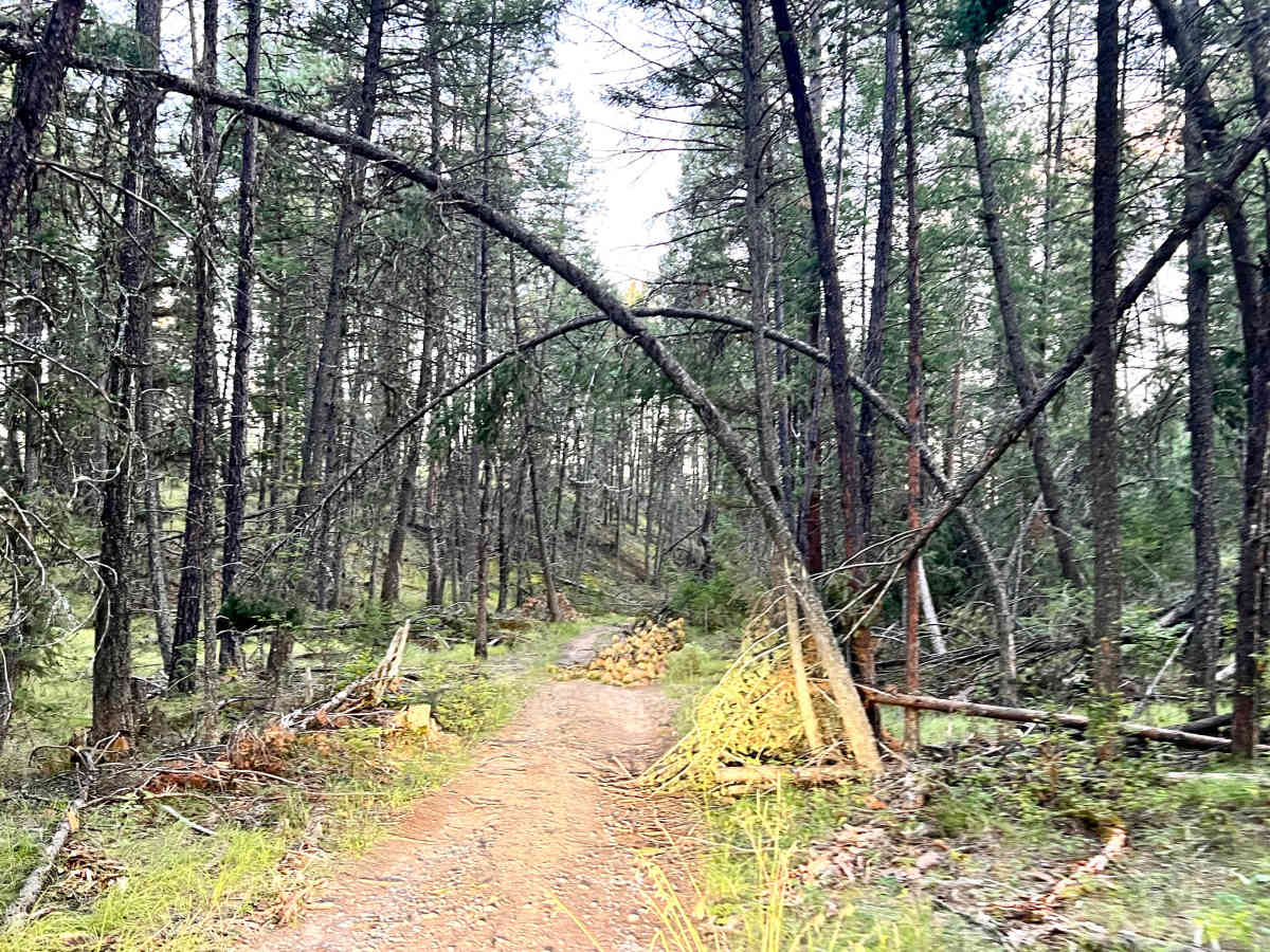 Grasmere Dorr Central 4WD Trail photo 5