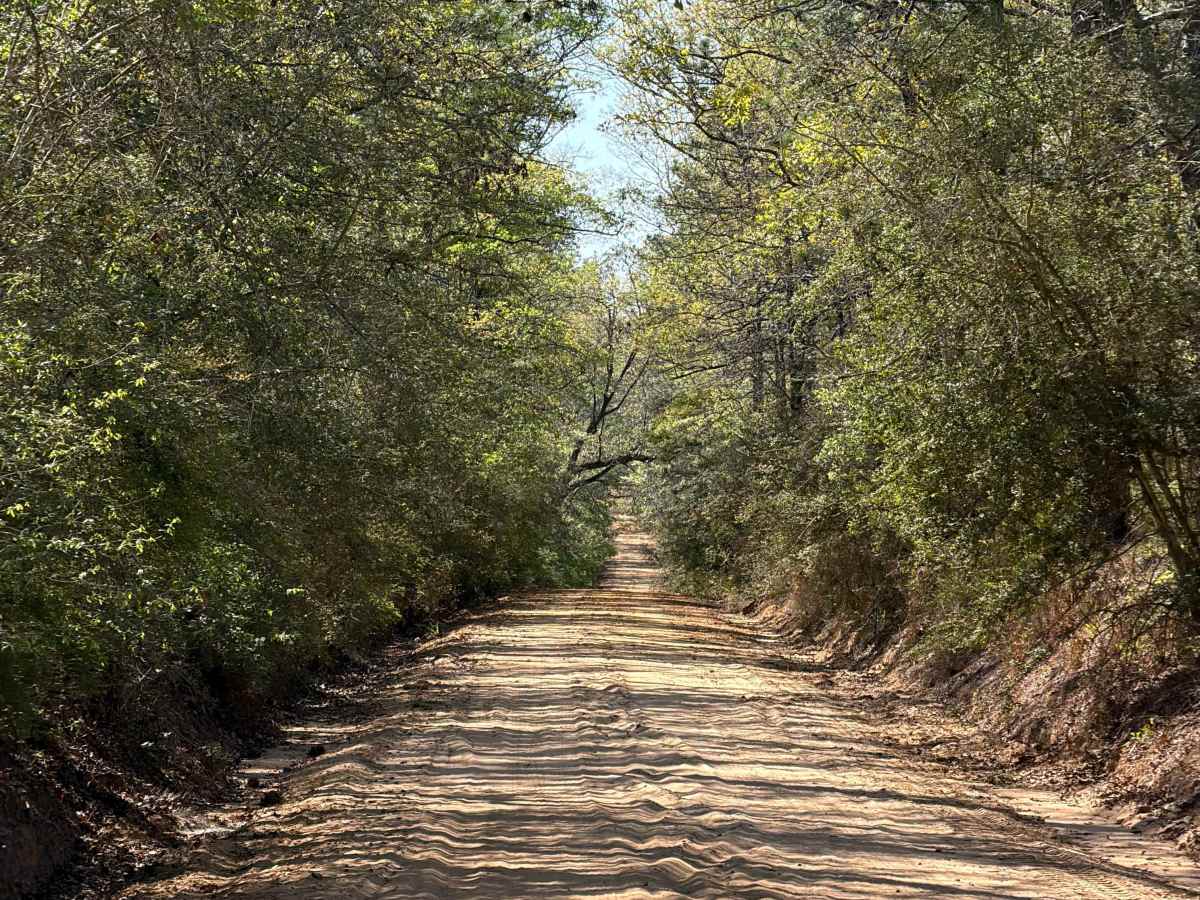 Mattie Kennedy Road photo 2