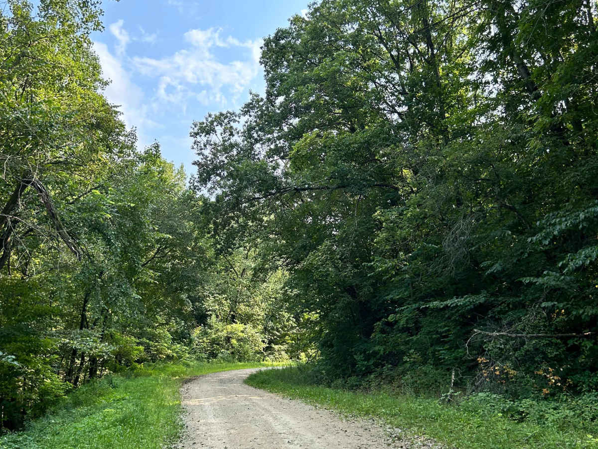 Fortune Road photo 5