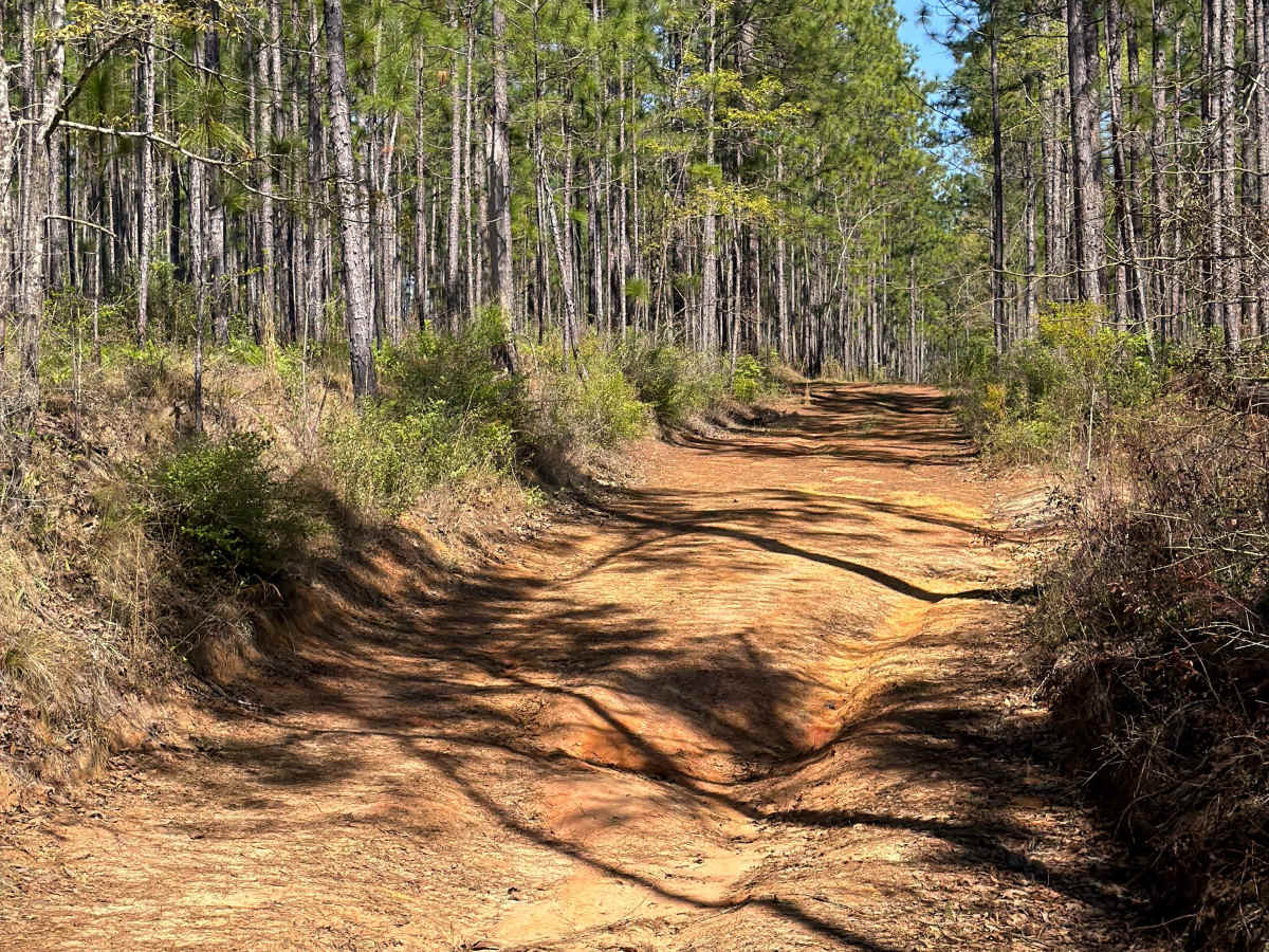 R 123 trail photo