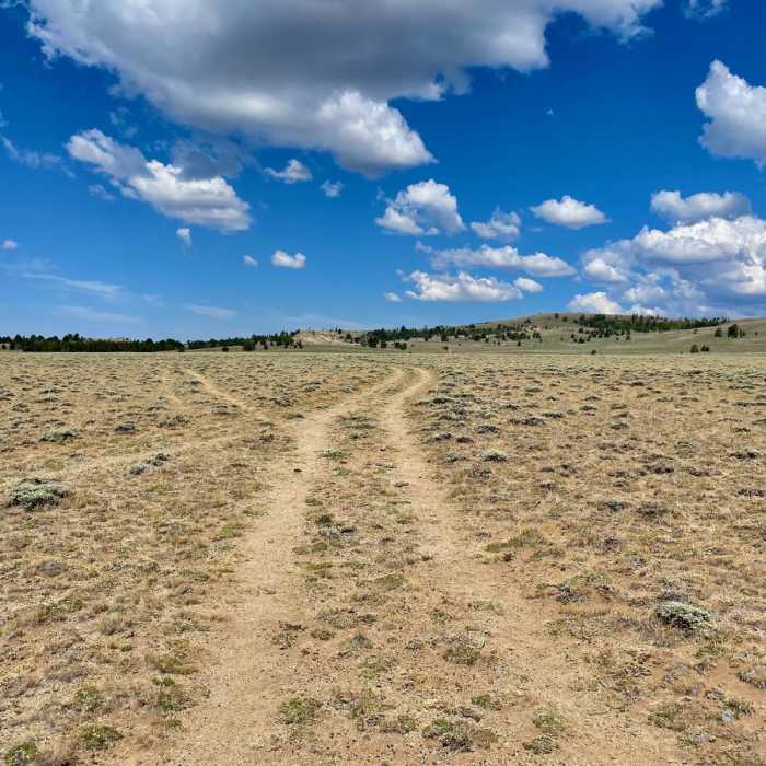 Near Continental Divide Trail: Wyoming Section 11