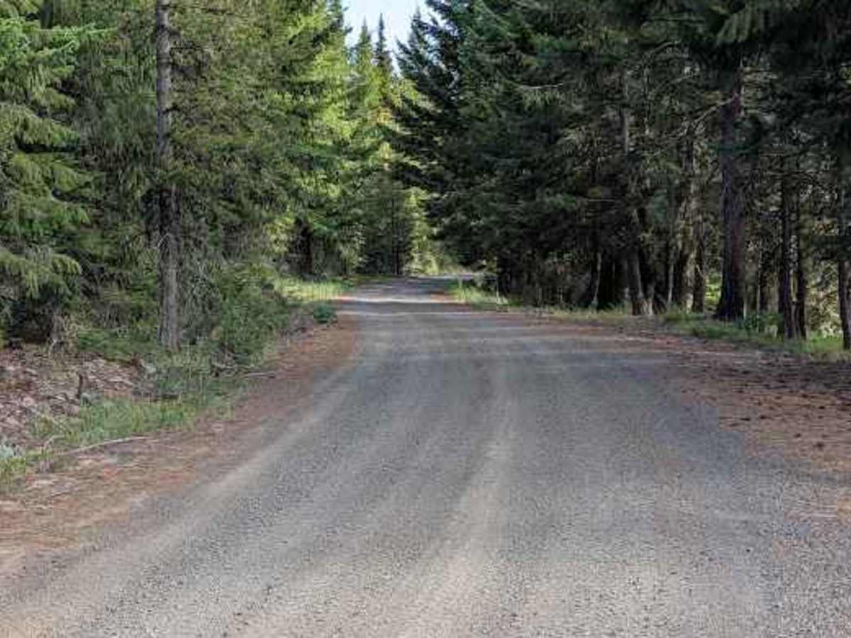 Wilson Creek Road - FS 3517 photo 4
