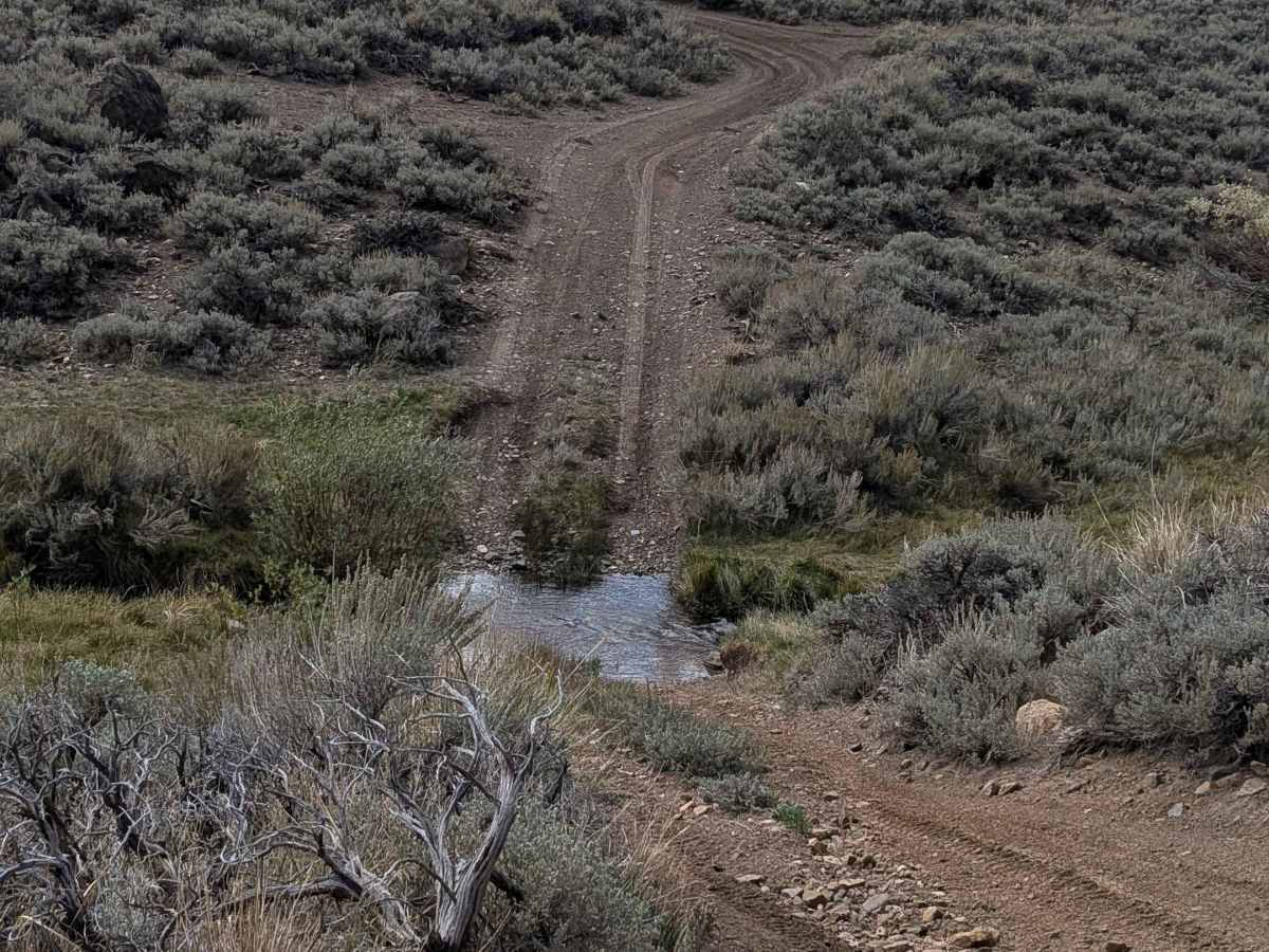 Cottonwood Meadows Road - FS 32106 photo 3
