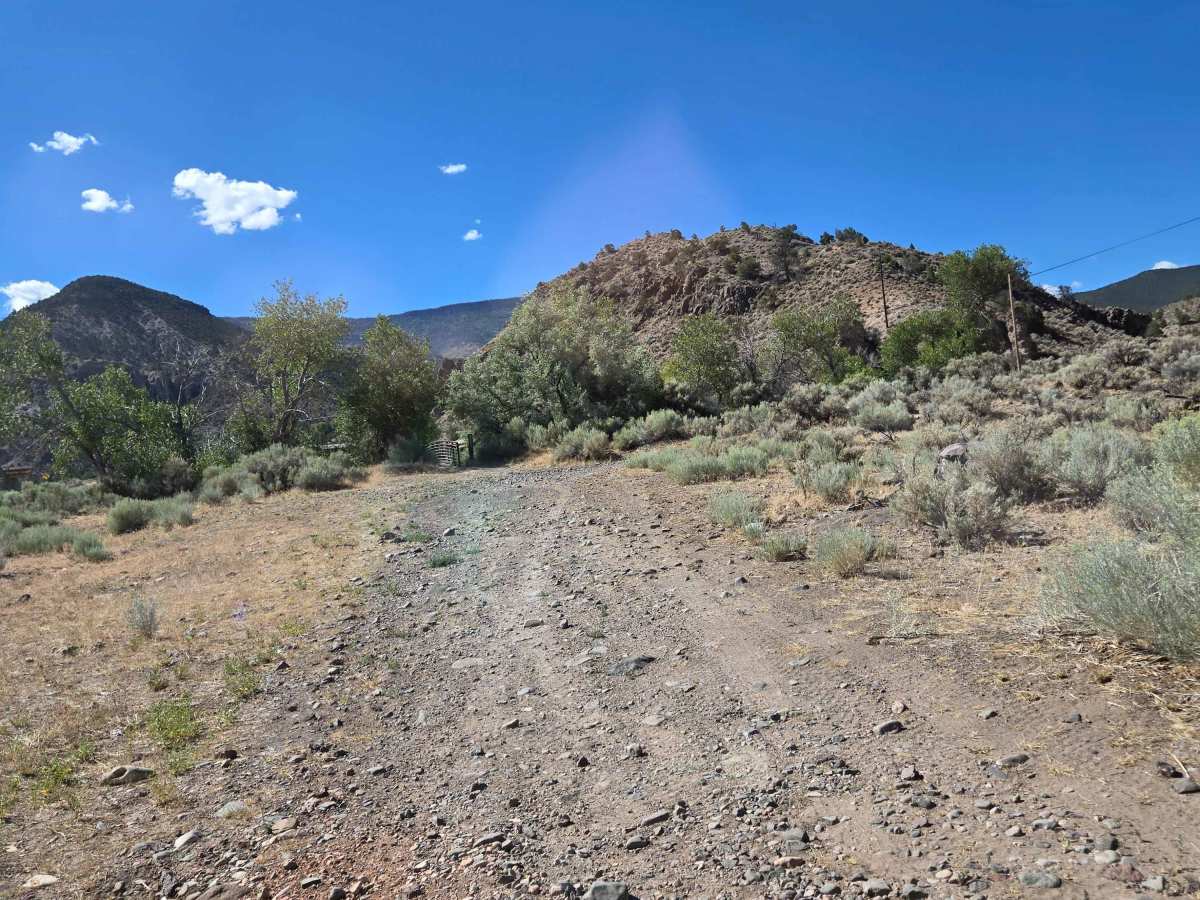 Kingston Canyon (Paiute 1 Trail) trail photo