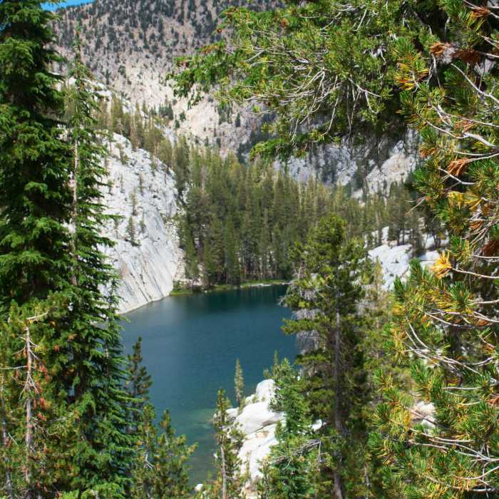 Near Big Margaret Lake Trail #26e18