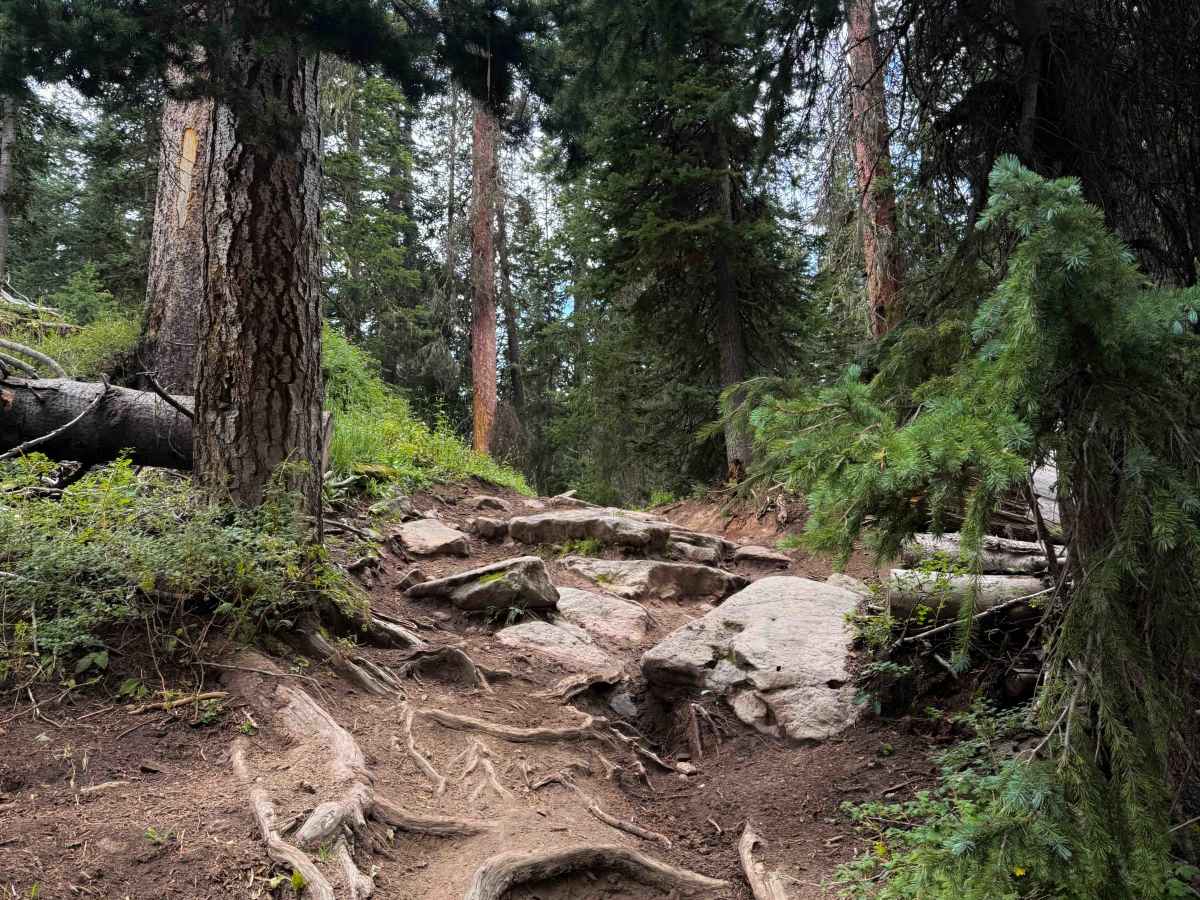 Calico North - Trail 208 photo 2