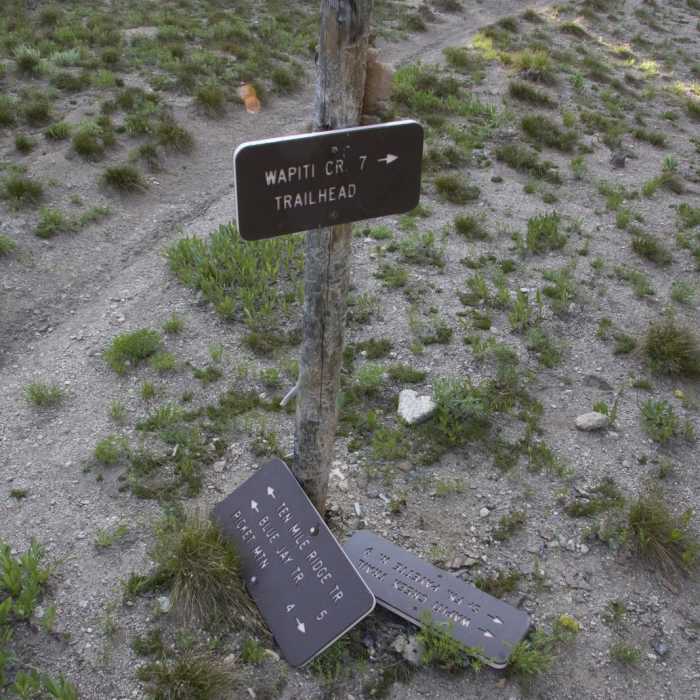 Near Waipiti Ridge Trail