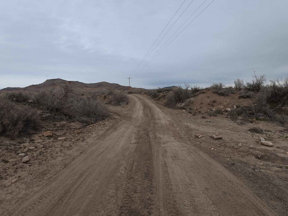 X Road photo 5