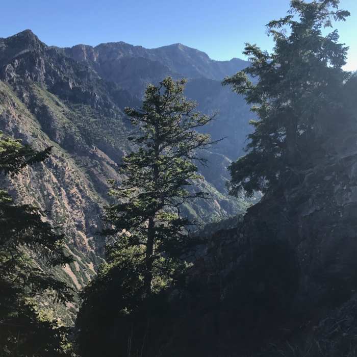 Near Mahogany Mountain North Peak Trail