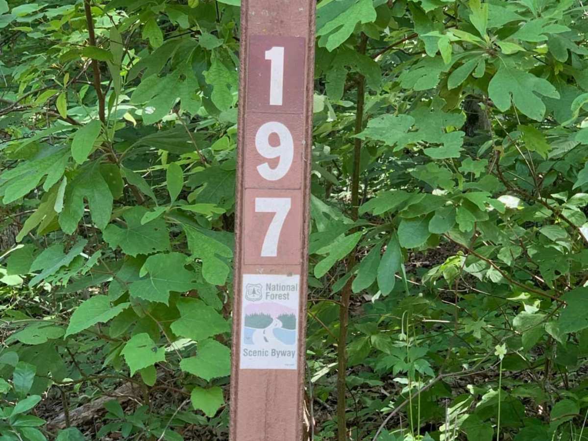 Mark Twain National Forest Scenic Drive trail photo
