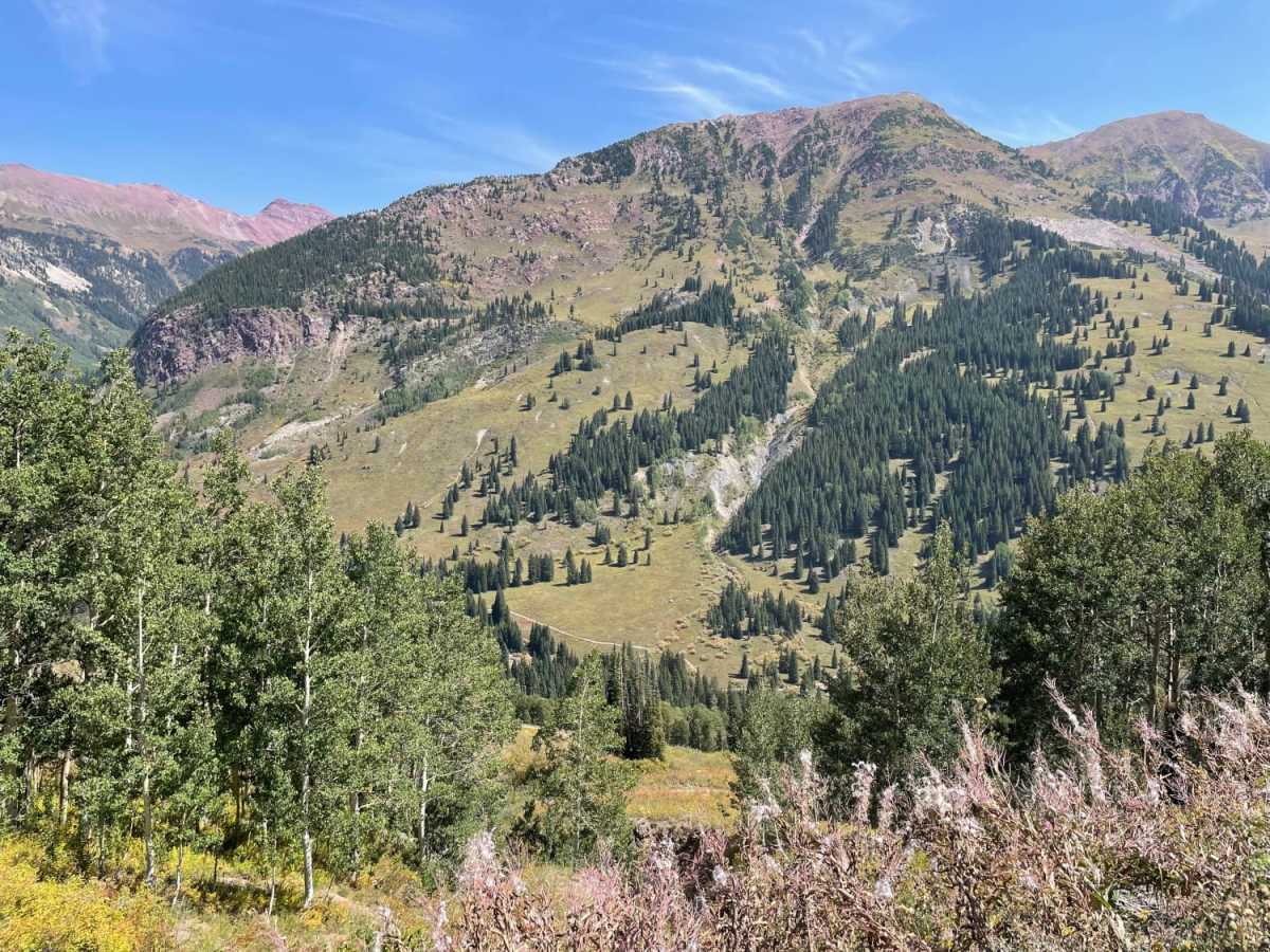 Sheep Mountain photo 3