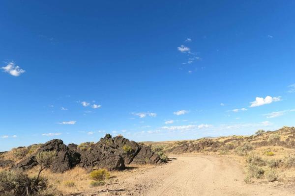 Bogus Bench Trail