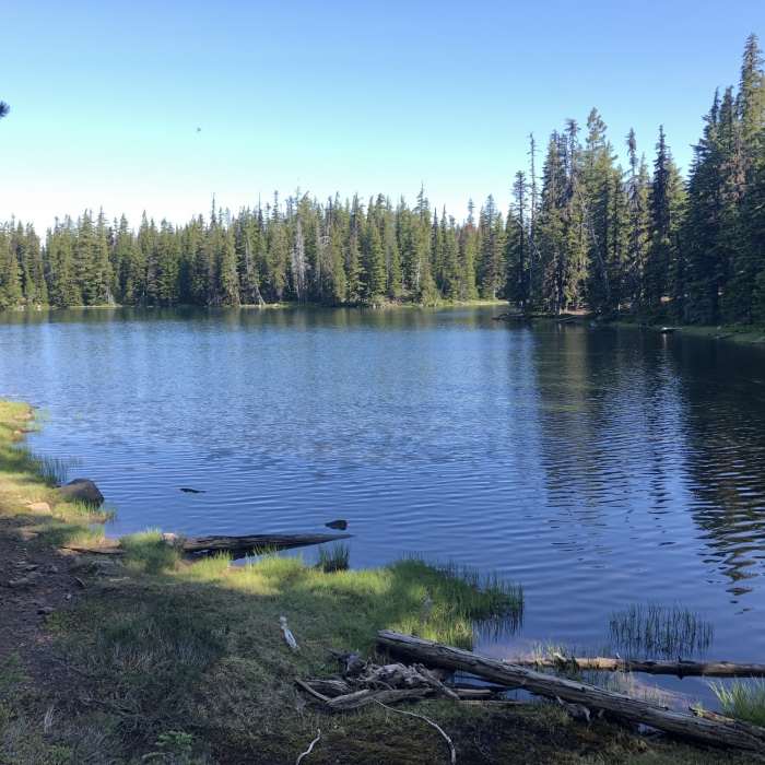 Near North Matthieu Lake Trail #4062