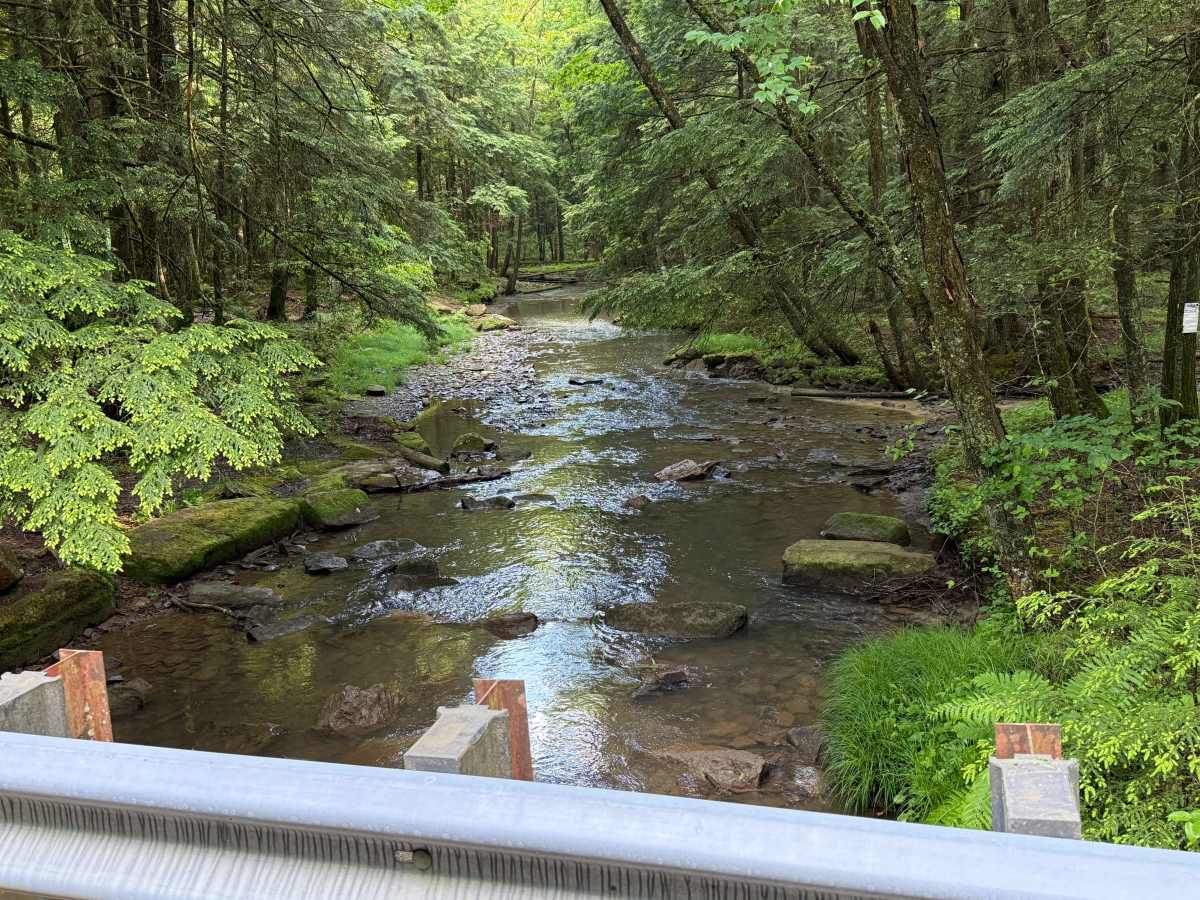 Ross Run Road - FS 85116A photo 2