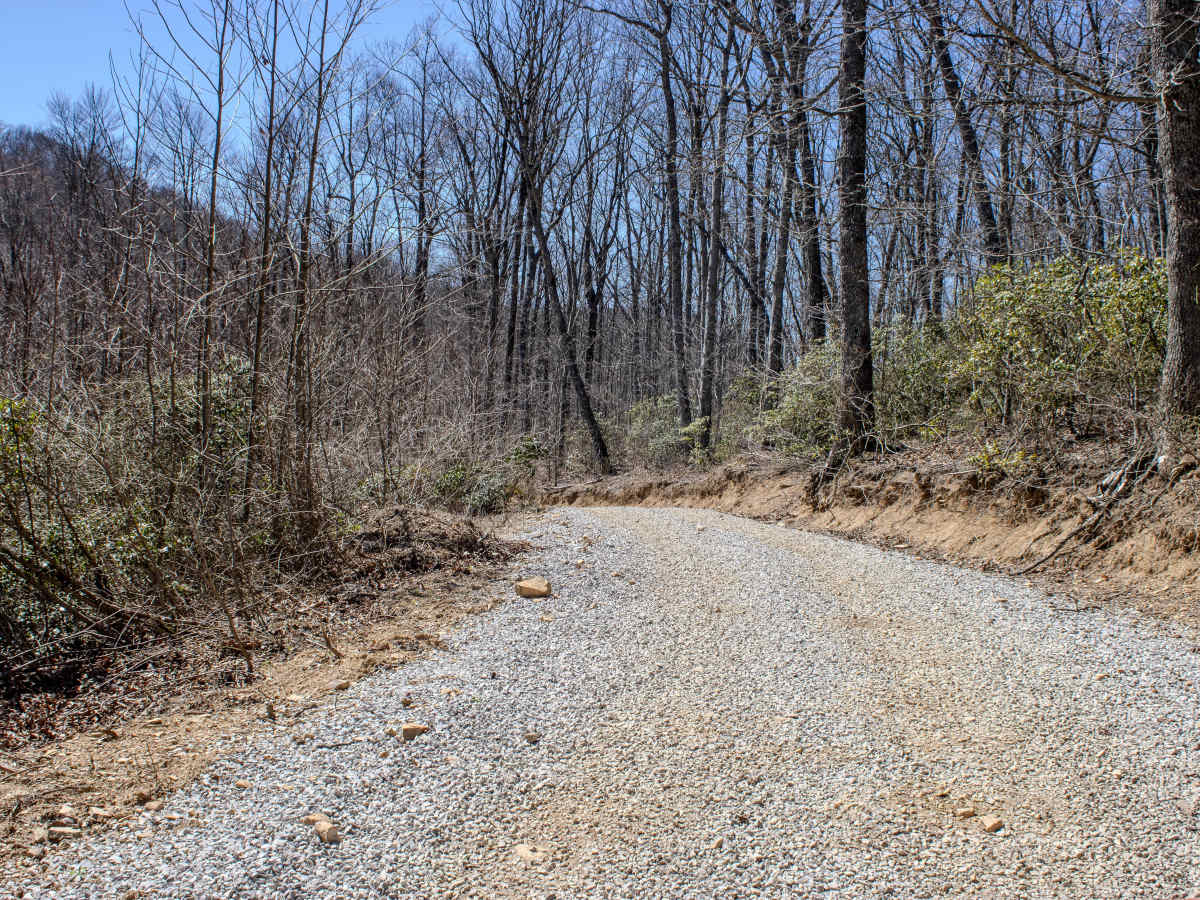Pine Bald Trail photo 3
