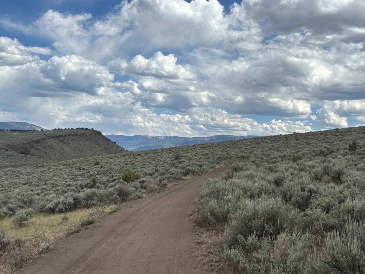 BLM 8465 photo 6