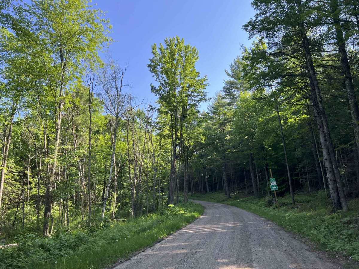 FS 2316 trail photo