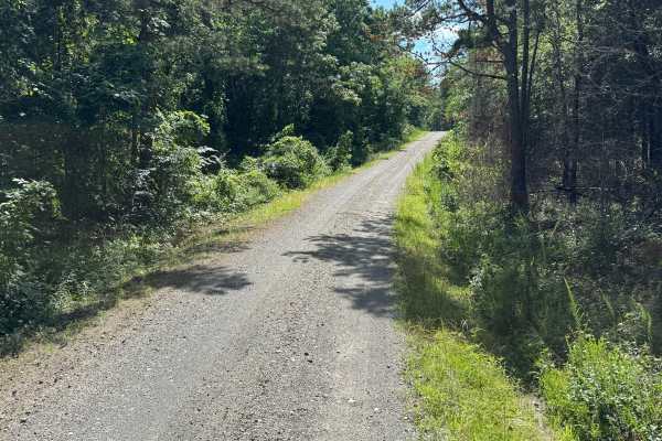 South Fork Road