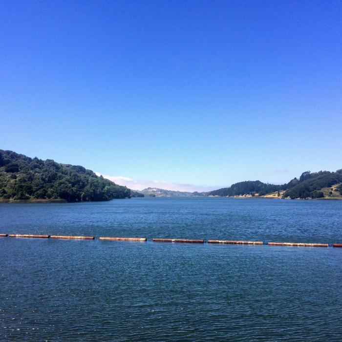 Near Sawyer Camp Trail