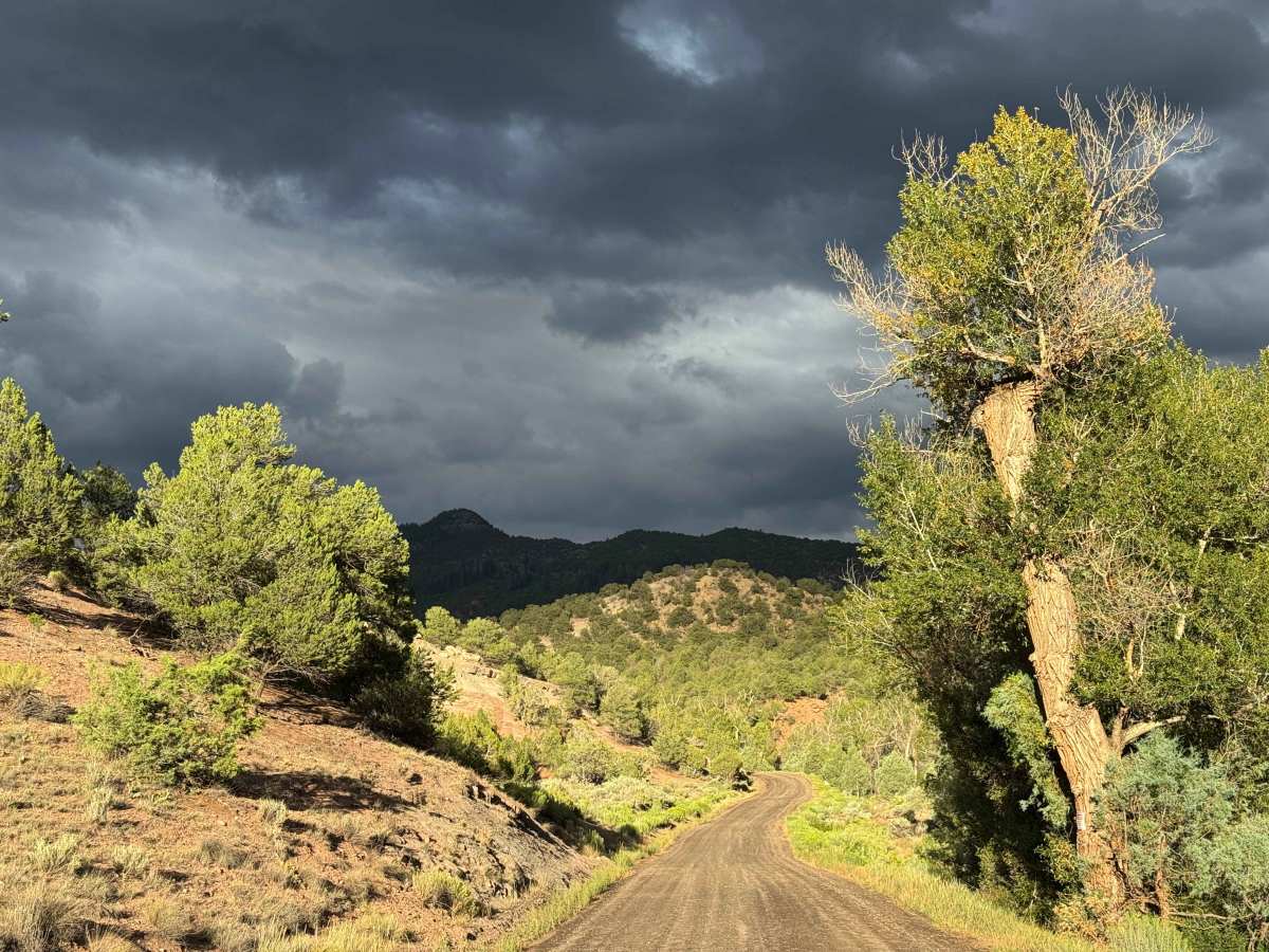 Copper Spur Road photo 4