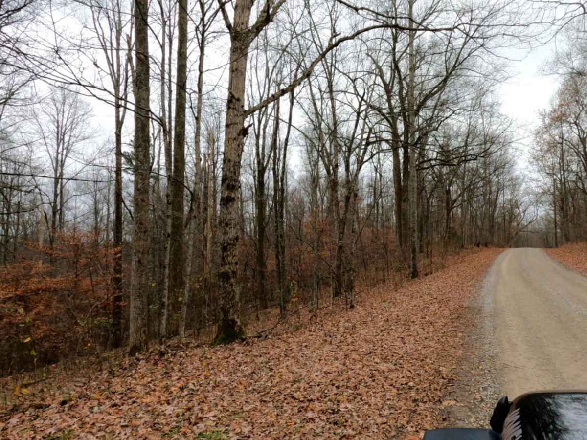 Henry Mountain Road photo 2