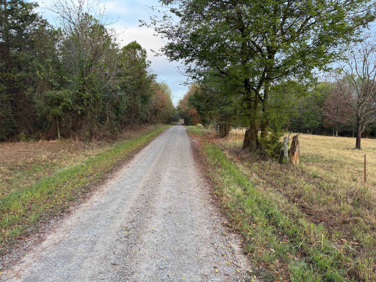 Mount Salem Road trail photo