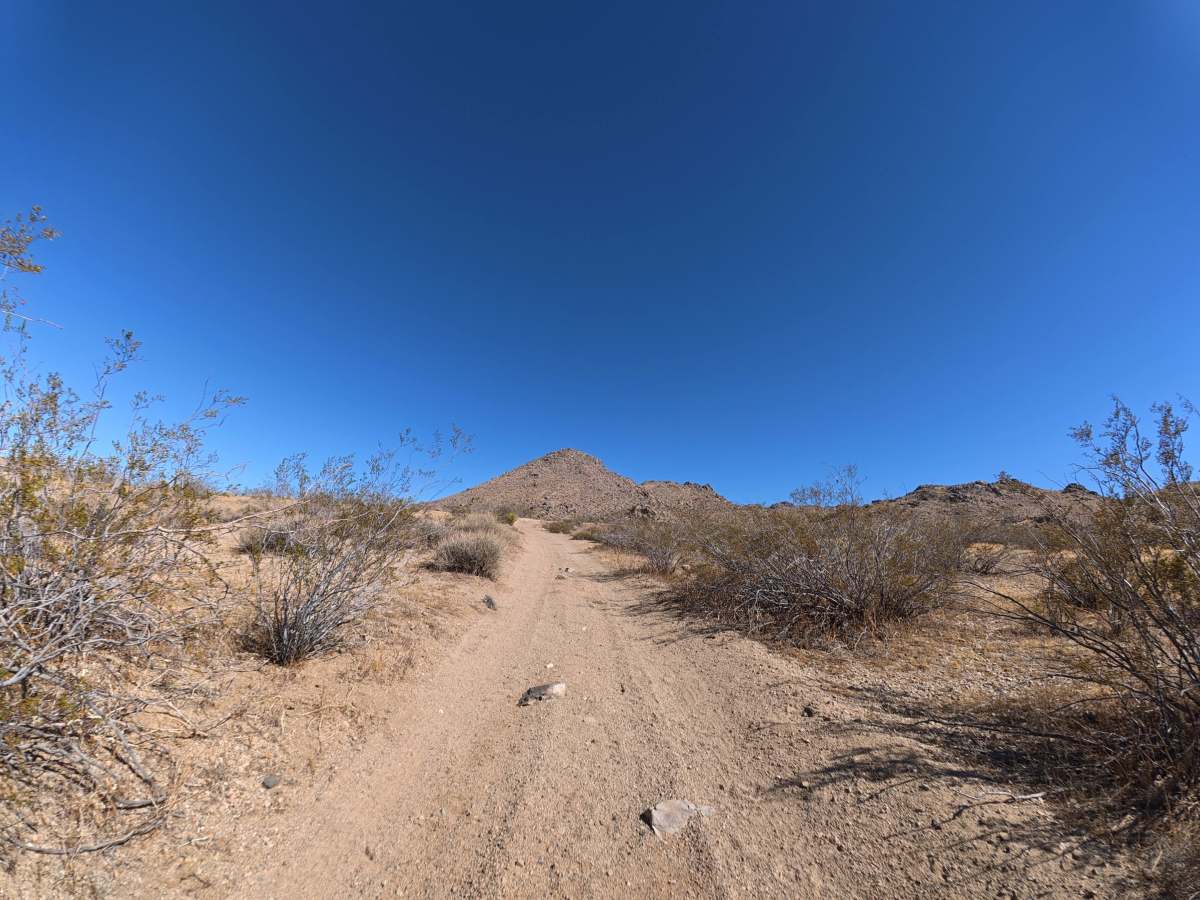 BLM 07323 photo 3